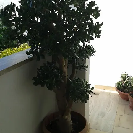 Apartamento Il Melograno *